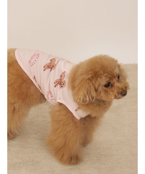 【新品未使用】ジェラートピケ DOG柄　トイプードル上下セット gelato pique ジェラートピケ CAT&DOG 接触冷感 サマートイ