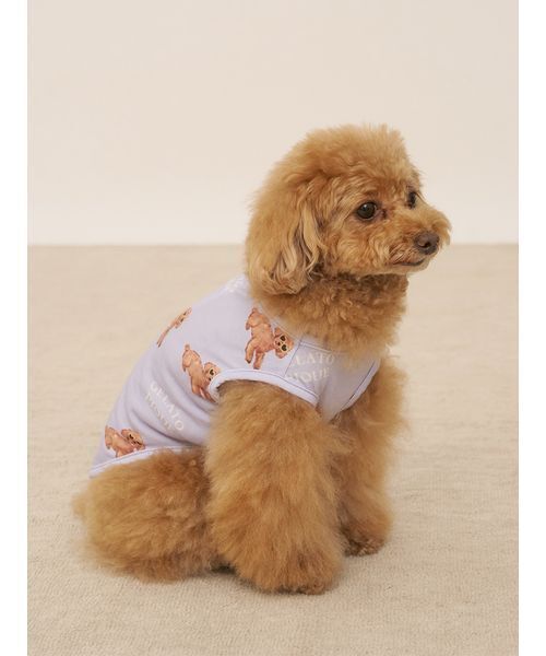 セール】【CAT&DOG】【接触冷感】サマートイプードル柄プル