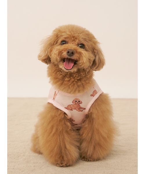 セール】【CAT&DOG】【接触冷感】サマートイプードル柄プル