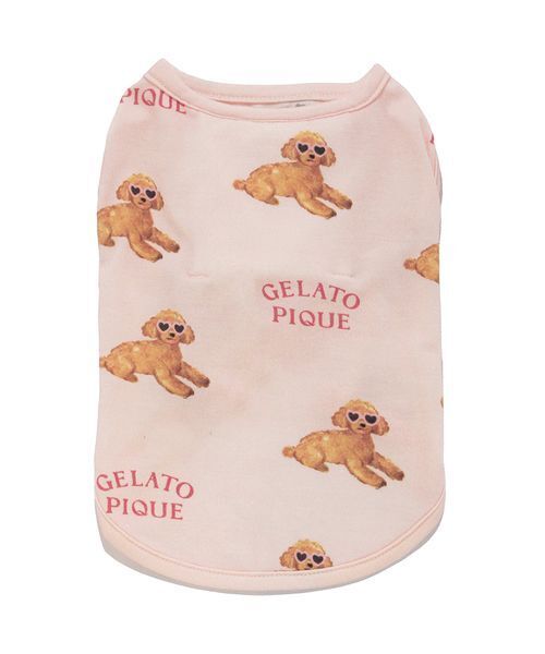 （未使用）gelat pique CAT&DOGジャガード上下セット　✳︎猫柄✳︎ Amazon | [ジェラートピケ キャットアンドドッグ] CAT&DOG
