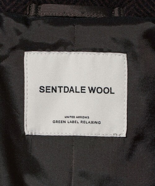 green label relaxing（グリーンレーベルリラクシング）の「SENTDALE WOOL ステンカラーコート（ステンカラーコート・メンズ・その他2/その他1/ネイビー/ダークグレー・XL/L/M/S）」の5枚目の写真