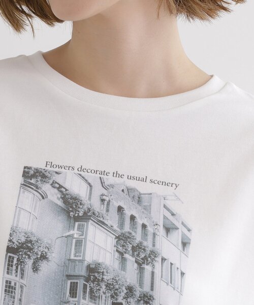 grove(グローブ)の「夏に映える 大人のクロップドTシャツ(Tシャツ/カットソー・レディース・ライトベージュ/オフホワイト/グレー・01/02/03/04/05)」の19枚目の写真