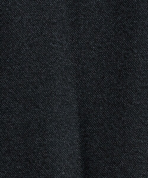 A DAY IN THE LIFE UNITED ARROWS(アデイインザライフユナイテッドアローズ)の「裏起毛 ノープリーツ スラックス<A DAY IN THE LIFE>(スラックス・メンズ・ダークグレー/ネイビー/ベージュ・S/M/L/XL)」の20枚目の写真