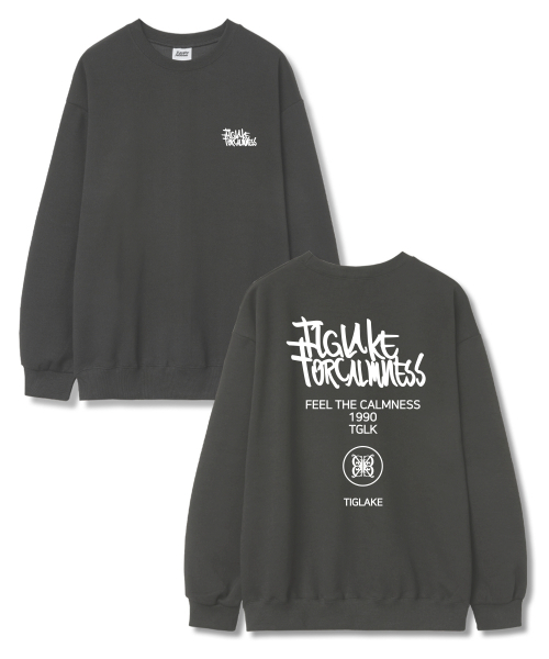 TI.GLAKE(ティーグレイク)の「エクストラオーバーフィット裏毛スウェットTシャツダークグレー(スウェット・レディース・その他・L/XL/XXL)」の1枚目の写真