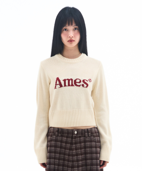 AMESWORLDWIDE（アメスワールドワイド）の「BASIC PULLOVER KNIT IVORY（ニット/セーター・メンズ・その他・LARGE/MEDIUM/SMALL）」の2枚目の写真