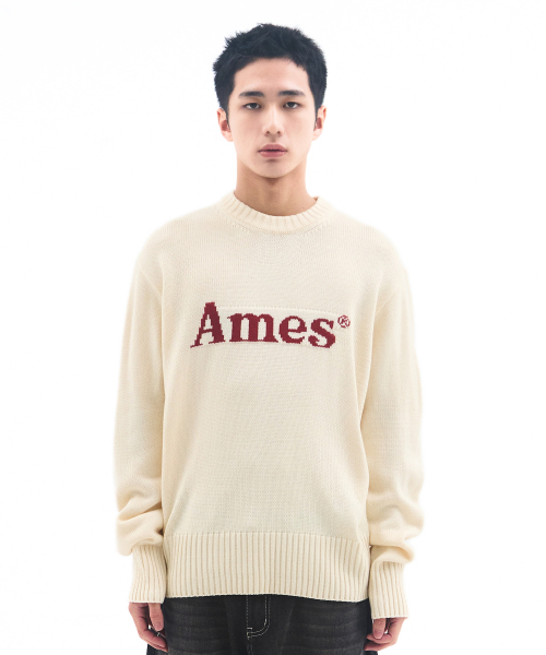 AMESWORLDWIDE（アメスワールドワイド）の「BASIC PULLOVER KNIT IVORY（ニット/セーター・メンズ・その他・LARGE/MEDIUM/SMALL）」の3枚目の写真