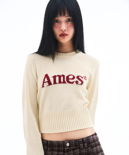 AMESWORLDWIDE（アメスワールドワイド）の「BASIC PULLOVER KNIT IVORY（ニット/セーター・メンズ・その他・LARGE/MEDIUM/SMALL）」の4枚目の写真