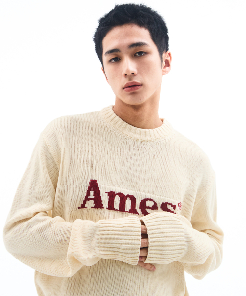 AMESWORLDWIDE（アメスワールドワイド）の「BASIC PULLOVER KNIT IVORY（ニット/セーター・メンズ・その他・LARGE/MEDIUM/SMALL）」の5枚目の写真