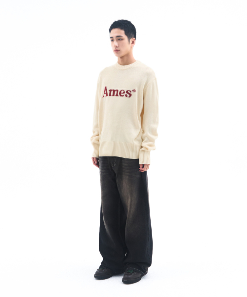 AMESWORLDWIDE（アメスワールドワイド）の「BASIC PULLOVER KNIT IVORY（ニット/セーター・メンズ・その他・LARGE/MEDIUM/SMALL）」の8枚目の写真