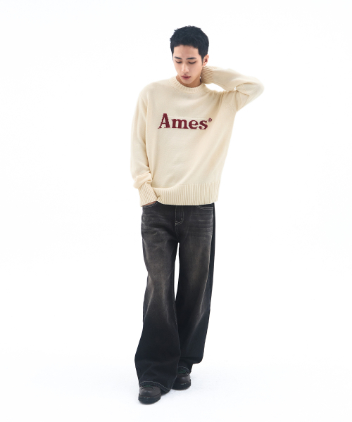 AMESWORLDWIDE（アメスワールドワイド）の「BASIC PULLOVER KNIT IVORY（ニット/セーター・メンズ・その他・LARGE/MEDIUM/SMALL）」の9枚目の写真