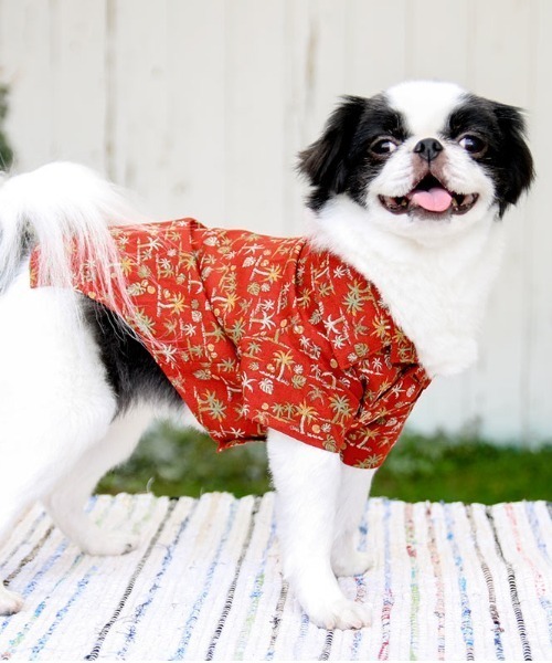 犬と生活/いぬとせいかつ/アロハシャツ 1号～2号/犬服(ドッグウェア