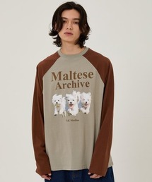 A'GEM/9 × .kom 『WaiKei/ワイケイ』 Maltese archive raglan long sleeve/マルチーズラグラン長袖Tシャツ