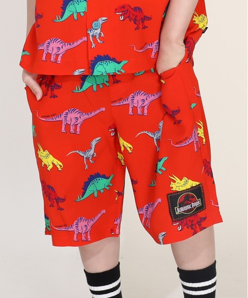 【UNISEX】SUMMER DOG総柄ハーフパンツ ワンポイントTセット セール】ジュラシックパーク 総柄ハーフパンツ 0377K （トップス