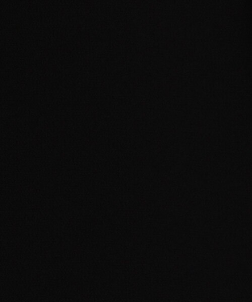 FLICKA(フリッカ)の「【別注】FLICKA for TOMORROWLAND with pearl ドレス(ドレス・レディース・ネイビー/ブラック系その他・1)」の11枚目の写真