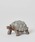 TODAY'S SPECIALigDfCYXyVj́u]EK / SchleichiCeAG݁jvb̑4