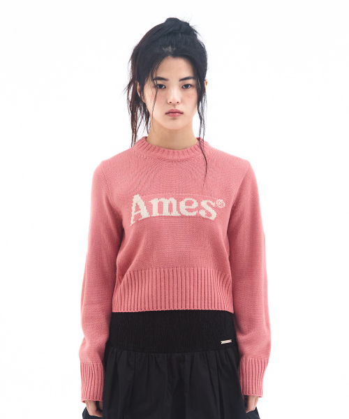 AMESWORLDWIDE(アメスワールドワイド)の「BASIC PULLOVER KNIT PINK(ニット/セーター・メンズ・その他・MEDIUM/LARGE/SMALL)」の2枚目の写真
