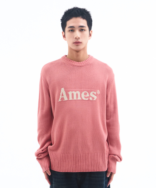 AMESWORLDWIDE(アメスワールドワイド)の「BASIC PULLOVER KNIT PINK(ニット/セーター・メンズ・その他・MEDIUM/LARGE/SMALL)」の3枚目の写真