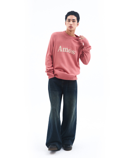 AMESWORLDWIDE(アメスワールドワイド)の「BASIC PULLOVER KNIT PINK(ニット/セーター・メンズ・その他・MEDIUM/LARGE/SMALL)」の7枚目の写真