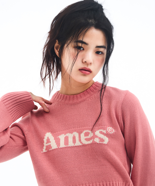 AMESWORLDWIDE(アメスワールドワイド)の「BASIC PULLOVER KNIT PINK(ニット/セーター・メンズ・その他・MEDIUM/LARGE/SMALL)」の8枚目の写真