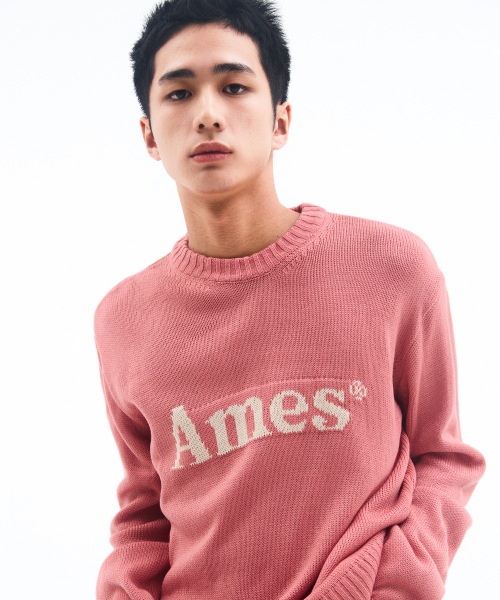 AMESWORLDWIDE(アメスワールドワイド)の「BASIC PULLOVER KNIT PINK(ニット/セーター・メンズ・その他・MEDIUM/LARGE/SMALL)」の9枚目の写真