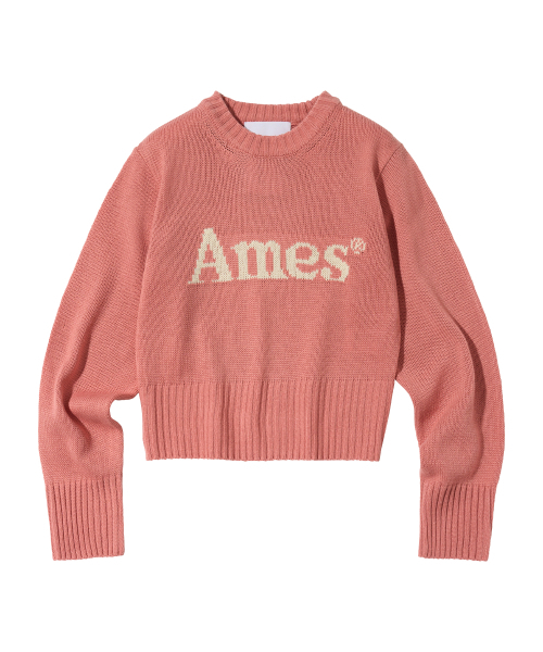 AMESWORLDWIDE(アメスワールドワイド)の「BASIC PULLOVER KNIT PINK(ニット/セーター・メンズ・その他・MEDIUM/LARGE/SMALL)」の11枚目の写真