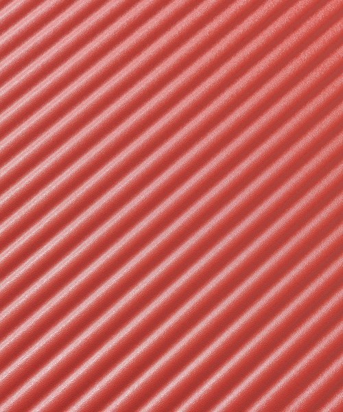 HaNT(ハント)の「HANT マイン 33L(スーツケース/キャリーバッグ・レディース・ネイビー/レッド/アイボリー/ブラック/グレー/ピンク/ブルー/ホワイト・フリ-)」の17枚目の写真