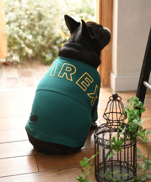 セール Avirex アヴィレックス ビッグロゴtシャツ 犬服 ドッグウェア ペットウェア Avirex アヴィレックス のファッション通販 Zozotown セール Avirex アヴィレックス ビッグロゴtシャツ 犬服 ドッグウェア ペットウェア Avirex アヴィレックス のファッション通販 Zozotown