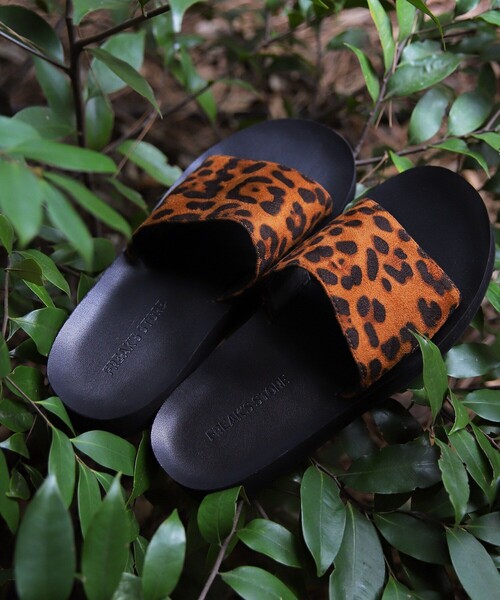 PSA 10 ラプラス サンダース　フリーザーセット PSA 10 ラプラス サンダース フリーザーセット PSA 10 ラプラス