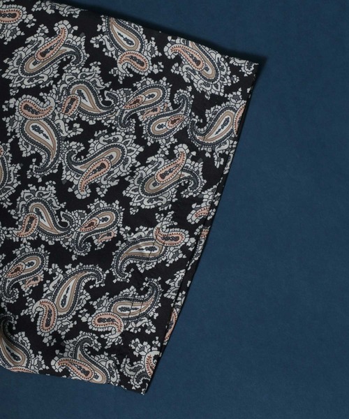 ANPAS(アンパス)の「Total Pattern Print Oversize Polo Shirt/総柄プリント オーバーサイズ ポロシャツ(ポロシャツ・メンズ・ブラック/ブラウン/カーキ/ブルー・M/L/LL)」の16枚目の写真