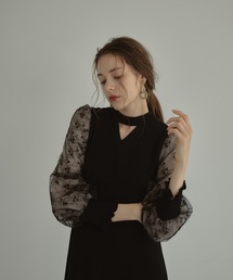 ANDRESD(アンドレスド)のスリーブエンブロイダリードレス / sleeve embroidery dress(ドレス)