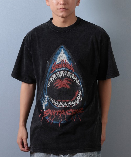 SANTA CRUZ（サンタクルーズ）の「【ムラサキスポーツ限定】SANTACRUZ/サンタクルーズ 半袖Tシャツ フロントプリント 502253411（Tシャツ/カットソー・メンズ・ブラック系その他6/ブラック系その他4/ブラック系その他5/ブラック系その他/ブラック系その他3/ブラック系その他2・M/L/XL）」の2枚目の写真