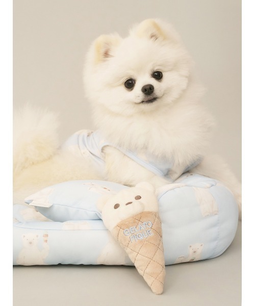 CAT&DOG】ベアアイストイ（ペット用おもちゃ）｜gelato pique