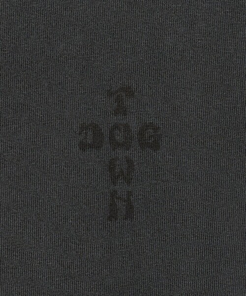 DOGTOWN(ドッグタウン)の「<DOGTOWN× CGS.>POSSET Tシャツ(Tシャツ/カットソー・メンズ・ホワイト/ダークグレー・M/L/XL)」の6枚目の写真
