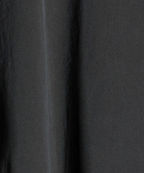 DOGTOWN(ドッグタウン)の「<DOGTOWN× CGS.>POSSET Tシャツ(Tシャツ/カットソー・メンズ・ホワイト/ダークグレー・M/L/XL)」の8枚目の写真