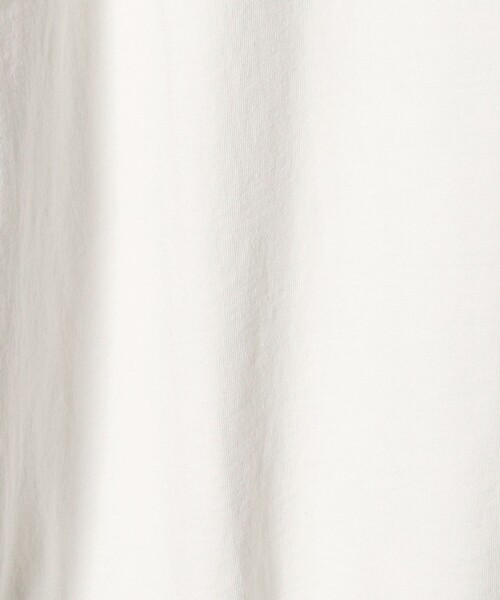 DOGTOWN(ドッグタウン)の「<DOGTOWN× CGS.>POSSET Tシャツ(Tシャツ/カットソー・メンズ・ホワイト/ダークグレー・M/L/XL)」の12枚目の写真