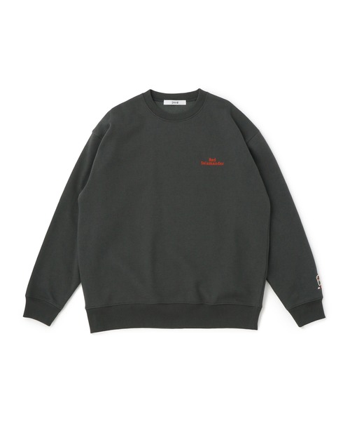 j.n.r.d(ジェー・エヌ・アール・ディー)の「【Red Salamander】バックロゴ裏起毛スウェット(スウェット・メンズ・グレー/チャコールグレー・M/LL/L)」の5枚目の写真