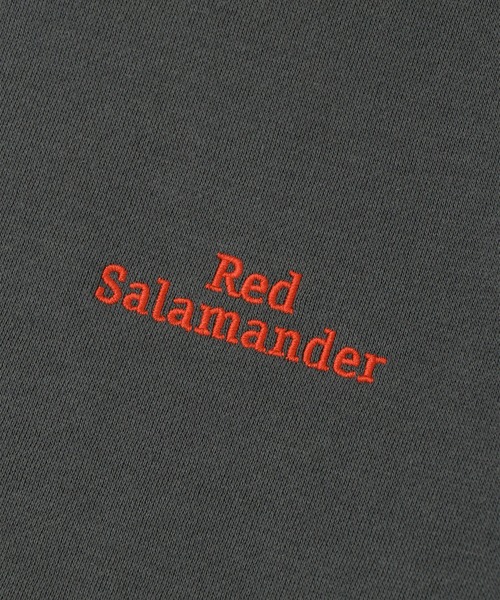 j.n.r.d(ジェー・エヌ・アール・ディー)の「【Red Salamander】バックロゴ裏起毛スウェット(スウェット・メンズ・グレー/チャコールグレー・M/LL/L)」の18枚目の写真