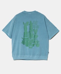 gym master/ジムマスター　6.2oz ピグメント サボテン ビッグTee