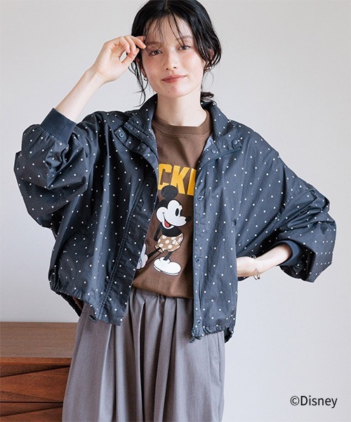 studio CLIP(スタディオクリップ)の「MICKEY / アソートドットTシャツ(Tシャツ/カットソー・レディース・ホワイト系その他/グレー系その他/ブラウン系その他・FREE)」の15枚目の写真