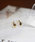 colleca la�i�R���J���j�́u�m���z�[���E�E�B���O�h���b�v�̃C�������O�i�C�������O�j�v�b�S�[���h