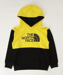 ザ ノース フェイス THE NORTH FACE Sweat Logo Hoodie(スウェットロゴフーディー)