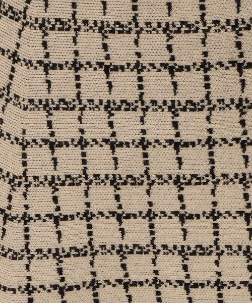 DRESKIP（ドレスキップ）の「◆上品さとかわいさの良いとこどり【洗える/セットアップ可能】ジャカードフレアスカート（スカート・レディース・ベージュ系その他4/ブラック系1/ブラウン系その他3・03/02/04）」の9枚目の写真