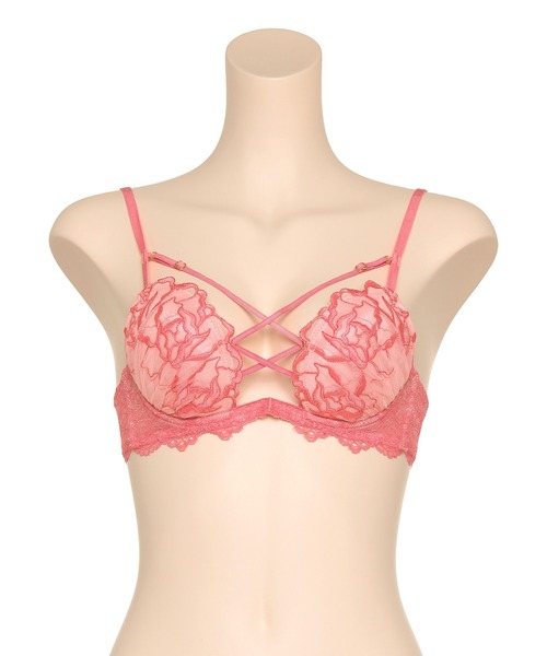 RAVIJOUR ラヴィッシュローズ ホットリフト ブラ ショーツ 3点セット ラヴィッシュローズ ホットリフト ブラ / セクシーランジェリー / RAVIJOUR
