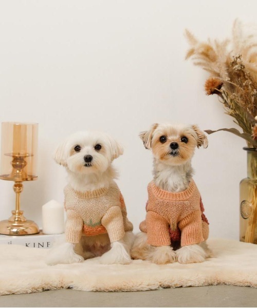 英字柄裏毛ニットの犬の服 英字柄裏毛ニットの犬の服