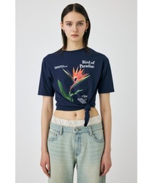 MOUSSY(}EW[)ASYMMETRY FLOWER TVc(TVc/Jbg\[)