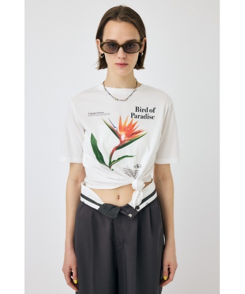 セール】ASYMMETRY FLOWER Tシャツ（Tシャツ/カットソー