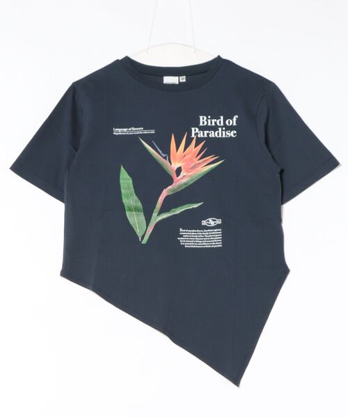 【AREA】 Mussel Flower Tシャツ 信州の夏の植物｜フォトTシャツ photo alpine flower【marble