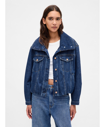 GAP(Mbv)̃fj I[o[TCY ouWPbg(fjWPbg)