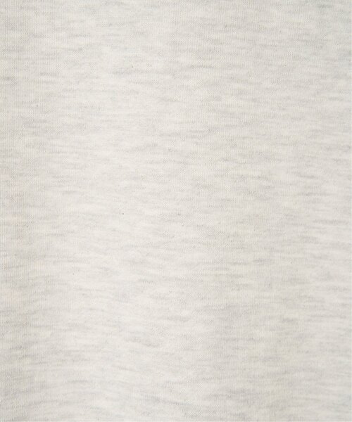 LBC(エルビーシー)の「ハーフジップ裏毛プルオーバー(スウェット・レディース・ナチュラル/ブルー/チャコール・M)」の5枚目の写真