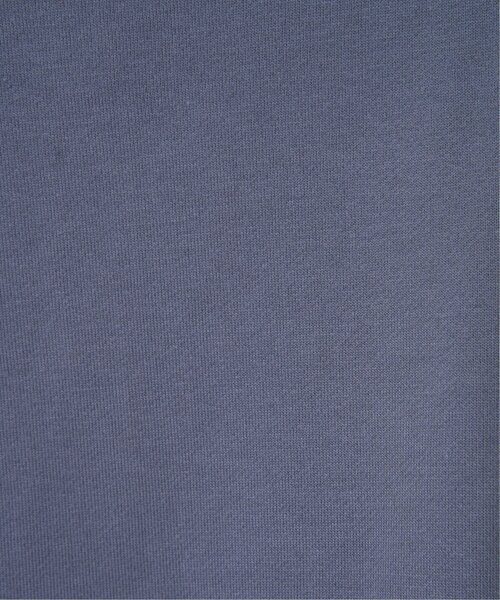 LBC(エルビーシー)の「ハーフジップ裏毛プルオーバー(スウェット・レディース・ナチュラル/ブルー/チャコール・M)」の6枚目の写真